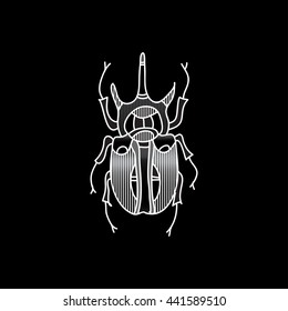vector beetle icon for design