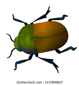Vector beetle icon. Isolated elements on white background. Perfect for game icon or other design works.