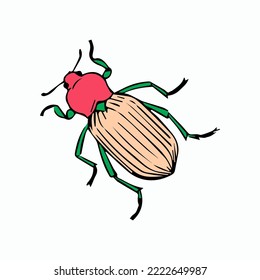 vector beetle on white background. top view 