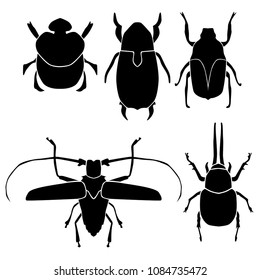 Vector beetle silhouettes, black color isolated on white background. Beetle flat icons. Set of different insects