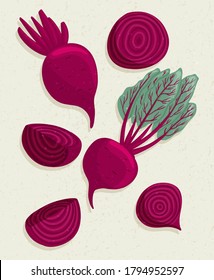 Vector beetroot cartoon illustration with textures. Healthy organic beets with leaves and beetroot slices for autumn farm market design.