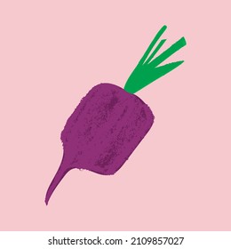 Vector beetroot drawing in trendy pencil hand-drawn style. Purple sugar beet illustration for vegan restaurant logo design, vegetarian symbol. Organic food sign. Cartoon vegetables for label or banner