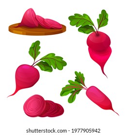 Vector beetroot icons set. Red and fresh beet for vegetarian eating and cooking. Isolated purple vegetables with leaves, whole and cut. Vegan nutrition.