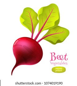 Vector Beets Isolated On Background. Fresh Vegetable