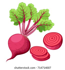 Vector beets isolated on background. Red beetroot whole, cut, sliced. Set of fresh beets in different forms flat icon design. Web site page and mobile app design Vector illustration