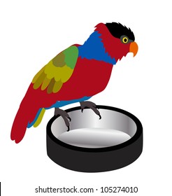 Vector - Beggar parrot.Parrot and a plate for donations.
