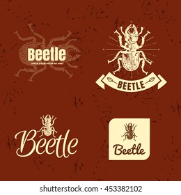 Vector beige and brown logo set with forest stag-beetle. The beetle as main element of logotypes on brown background.