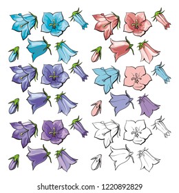 Vector bellflower blossoms, stems, leaves and buds set. Natural summer, spring meadow plants with blue red purple petals, monochrome. Floral natural illustration for poster, textile decoration