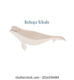 Vector Beluga whale. Cartoon illustration on white background for sticker, design