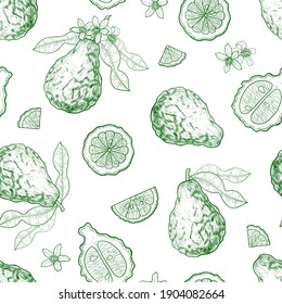 Vector bergamot drawn sketch. Vector seamless pattern. Botanical drawing.