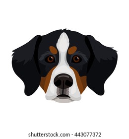 Vector Bernese Mountain Dog