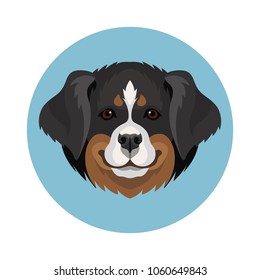 Vector Bernese Mountain dog breed icon domestic animal pet illustration