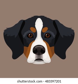 Vector Bernese Mountain Dog face pet zoo icon