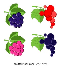 Vector berries.