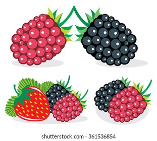 Vector berries (blackberry, raspberry and strawberry), collection of illustrations