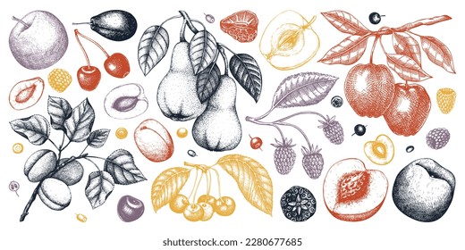 Vector berries and fruits illustrations set. Hand-drawn fruit trees - cherry, plum, apple, peach, apricot, raspberry, strawberry in sketch style. Vintage healthy food drawings. Fruit, branches, leaves