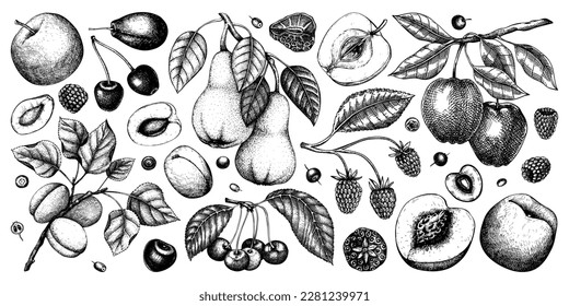 Vector berries and fruits illustrations set. Hand-drawn fruit trees - cherry, plum, apple, peach, apricot, raspberry, strawberry sketches. Vintage healthy food drawings isolated on white background