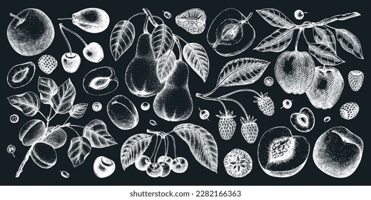 Vector berries and fruits illustrations set. Hand-drawn fruit trees - cherry, plum, apple, peach, apricot, raspberry, strawberry sketches. Vintage healthy food drawings on the chalkboard