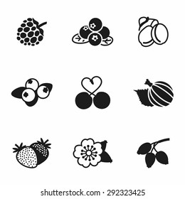 Vector Berries icon set on white background