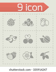 Vector Berries icon set on grey background