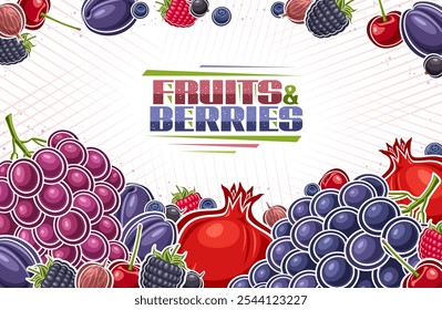 Vector Berries illustration with copy space for text, decorative template with cartoon design red and purple berry composition, horizontal coupon with many sweet different berries on white background