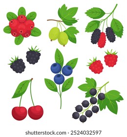 Vector berries set isolated on white background. Сranberry, gooseberry, mulberry, blackberry, blueberry, raspberry, cherry and black currant icon. Vector flat illustration of different berries.