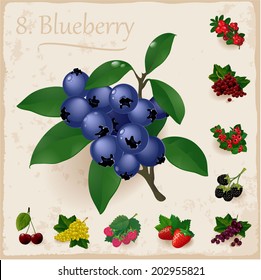 Vector berries vintage collection.