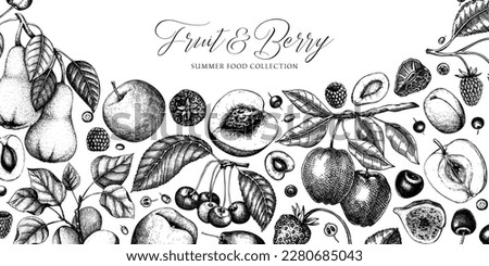Vector berry and fruits background. Hand-drawn fruit trees - cherry, plum, apple, peach, apricot, raspberry, strawberry sketches. Vintage healthy food vector design. Banner template with berries