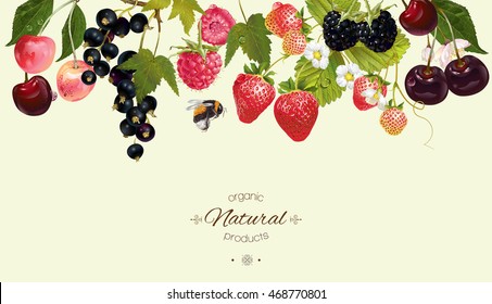 Vector berry horizontal border. Background design for juice, tea, natural cosmetics, pastries filled with berry, farmers market, grocery ,health care products. Best for packaging design.