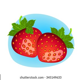 Vector berry illustration. Detailed drawing of strawberry 