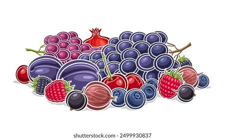 Vector Berry Logo, decorative horizontal poster with outline illustration of violet ripe berry composition with green leaves, cartoon design fruit print with raw assorted berries on white background