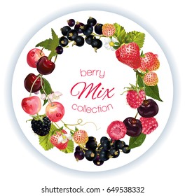 Vector berry round wreath with raspberry, cherry, strawberry and black currant on white round background