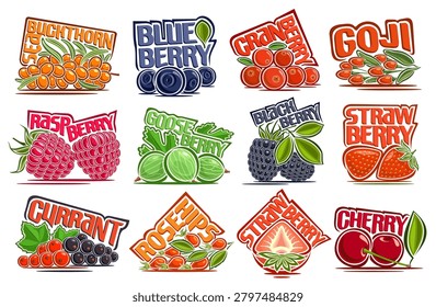 Vector Berry Set, collection of 12 isolated compositions of raw juicy forest berries with colorful text, group of cartoon whole and halved assorted summer berry fruits with names on white background
