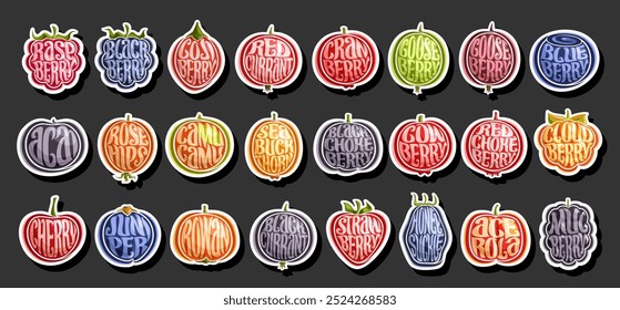 Vector Berry Set, collection of cut out outline illustrations variety exotic berries with green leaves, horizontal banner with group of various colorful fruits with berry names on dark background