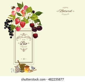 Vector berry vertical banner with raspberry, cherry, strawberry and black currant. Design for natural cosmetics, beauty store, vegetarian menu, organic health care products. With place for text
