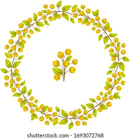 Correa baya vectorial; corona amarilla rowan para tarjetas de felicitación, invitaciones, afiches, banners, tarjetas de boda, diseño web.