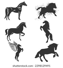 vector best horse breeds pictures icons set