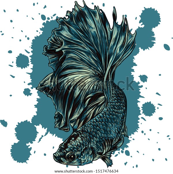 Vector Betta Illustration Fighting Fish On Stock Vector (Royalty Free ...