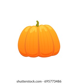 vector big cartoon pumpkin. Isolated illustration on a white background. Autumn fall symbols objects concept