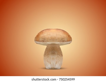 vector big cep on color background