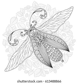 Vector big cicada. Black and white version. Isolated on white background. Coloring book for adults. Nature, spirituality, occultism, alchemy, magic concept.