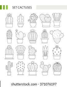 Vector big collection of cactuses in pots logo made line style. 