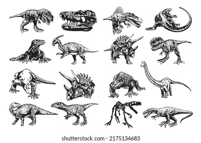 Vector big collection of dinosaurs and varans , graphical elements isolated on white