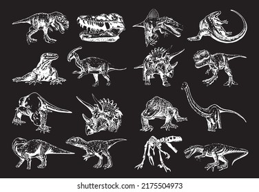 Vector big collection of dinosaurs and varans , graphical elements isolated on black