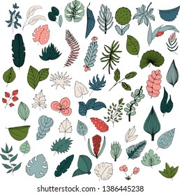 Vector big collection of tropical flowers