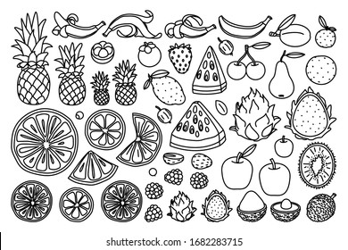 vector big exotic fruit set. coloring book page