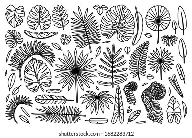 vector big exotic leaves set. coloring book page