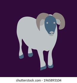 Vector big horned ram with purple background