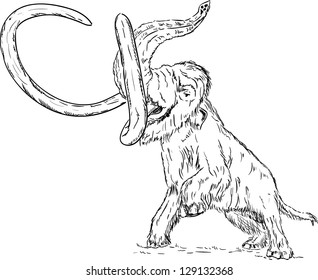 Vector - big mammoth attacking - isolated on background