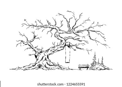vector - Big old tree - isolated on background -Happy place , bench